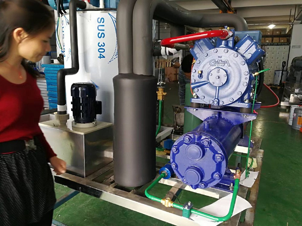 2套客户定制型日产量3吨海水制冰机即将进入调试阶段。