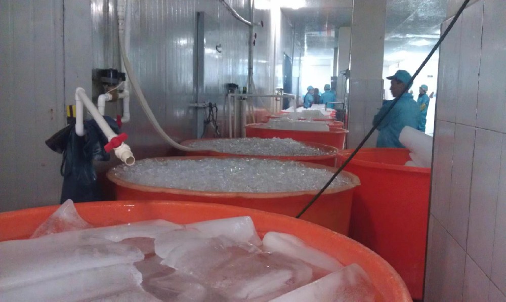 广东湛水水产加工企业，海鲜保鲜用日产量10吨管冰机调试完成。