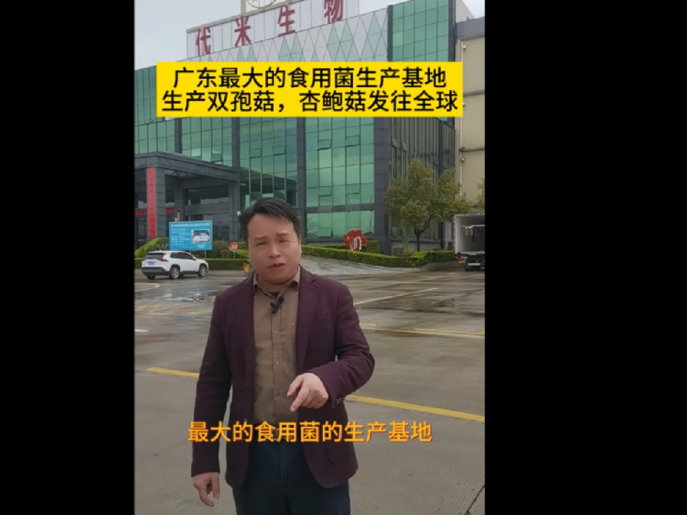 广东最大的食用菌生产基地，代米生物真空预冷机使用现场