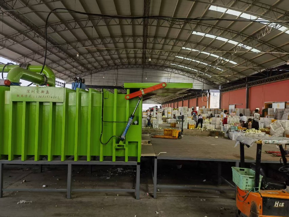中国大型娃娃菜加工基地